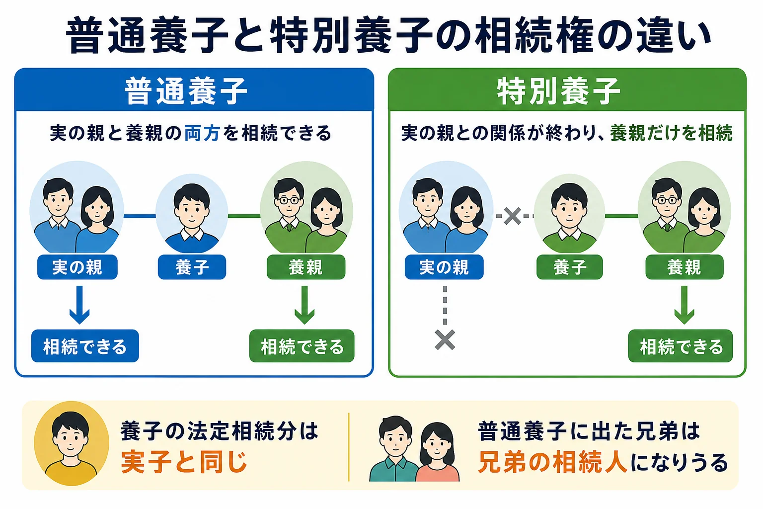 普通養子縁組と特別養子縁組で、実の親と養親の相続権がどう変わるかを比べた図解